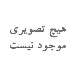 پنتر